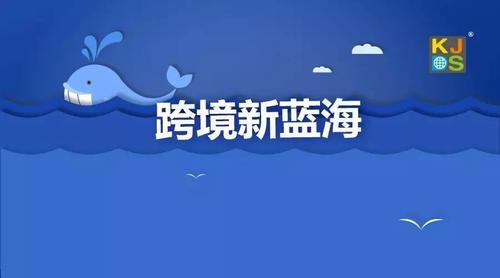 广电经销商:掘金新蓝海,共创美好未来